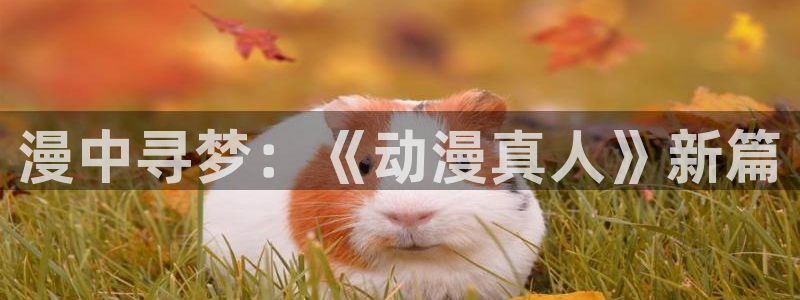 omofun苹果