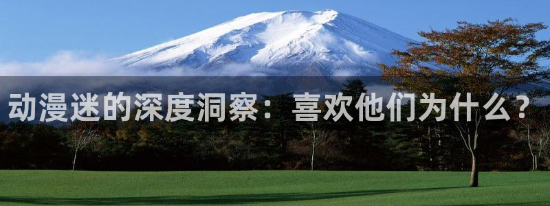 omofun电脑版