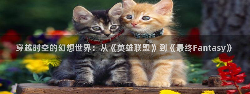 omofun 动漫