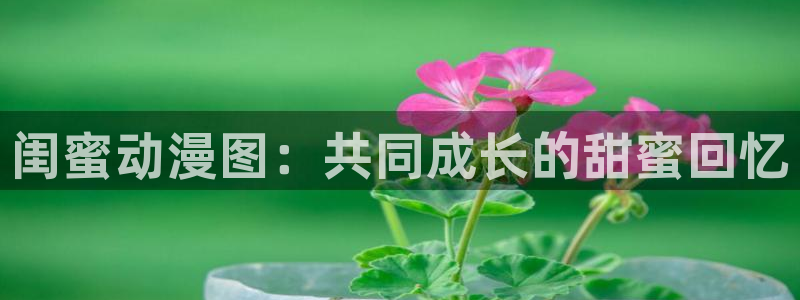 omofun复活版