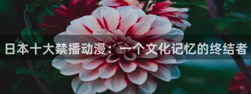 omofun动漫官方app下载