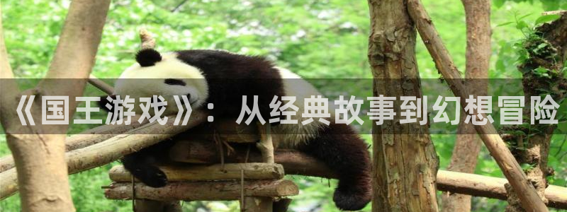omofun可以投屏吗