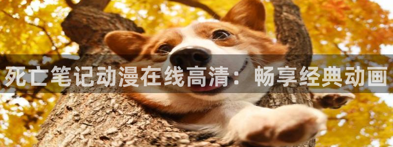 omofun(动漫共和国)