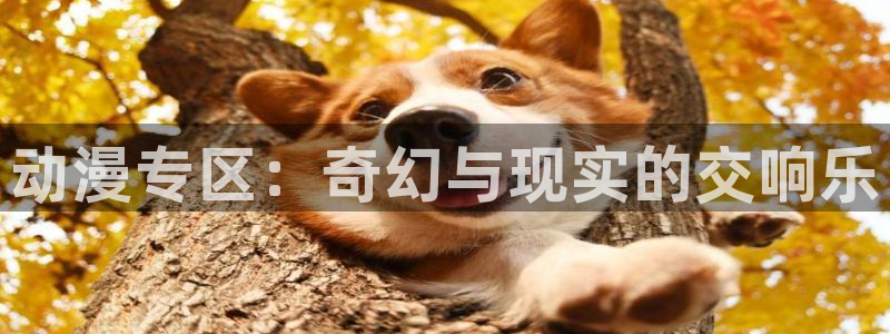 omofun. t