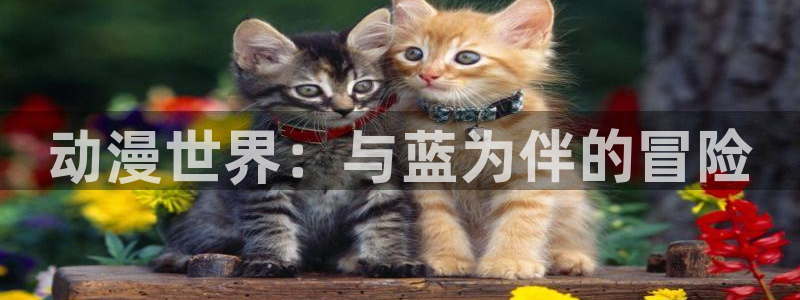 omofun动漫下载最新