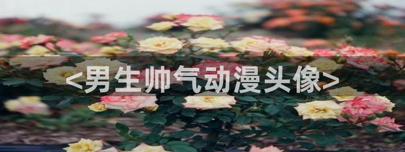 进入omofun官网