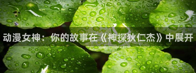 omofun 动漫在线观看