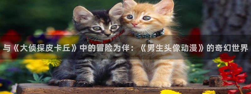 omofun官网网址