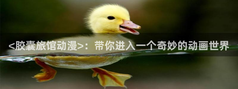 omofun 动漫：<胶囊旅馆动漫>：带你进入一个奇妙的动画世界