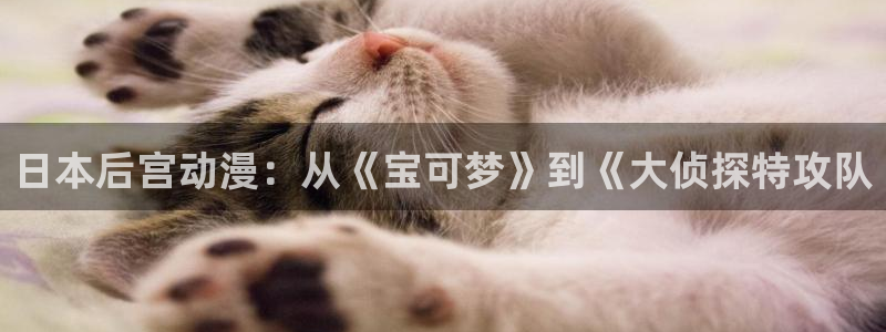 o站omofun官网