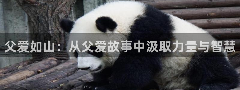 omofun正版app下载