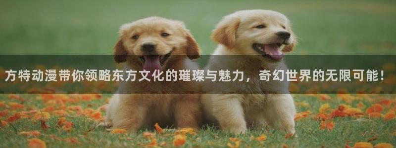 omofun动漫在线观看：方特动漫带你领略东方文化的璀璨与魅力，奇幻世界的无限可能！