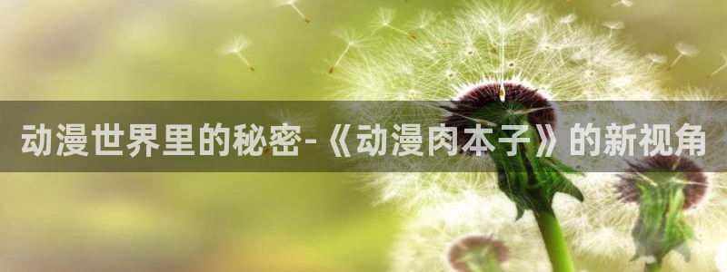 omofun动漫官网正版下载