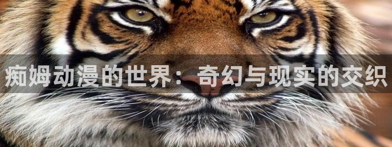 omofun动画
