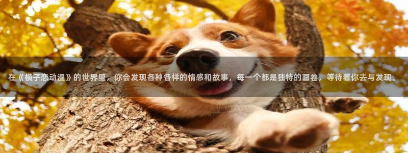 omofun下载官网入口
