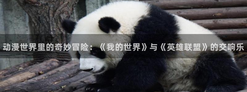 omofun下载app