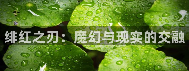omofun 比较好用：绯红之刃：魔幻与现实的交融