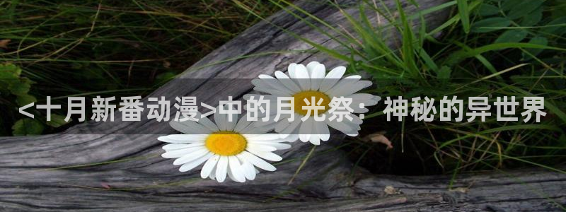 omofun专注动漫官网入口