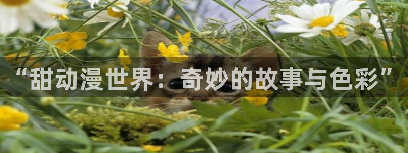 omofun官方网站进入