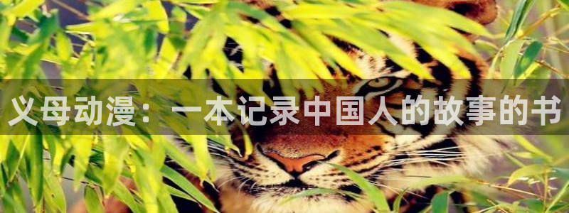 omofun.cn