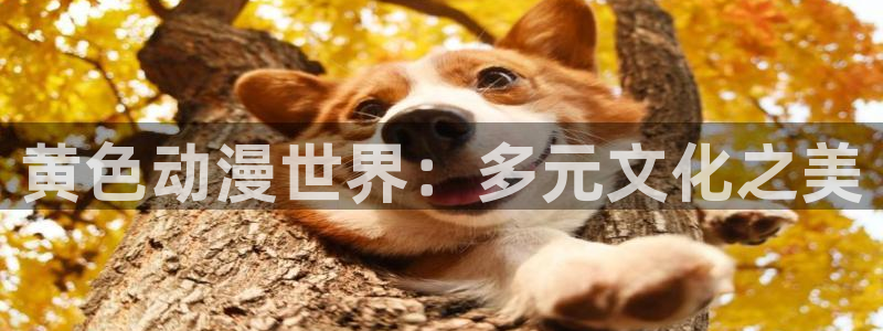 omofun/