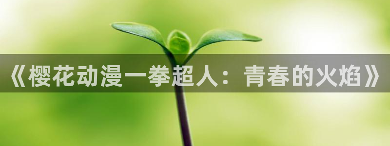 omofun官方：《樱花动漫一拳超人：青春的火焰》