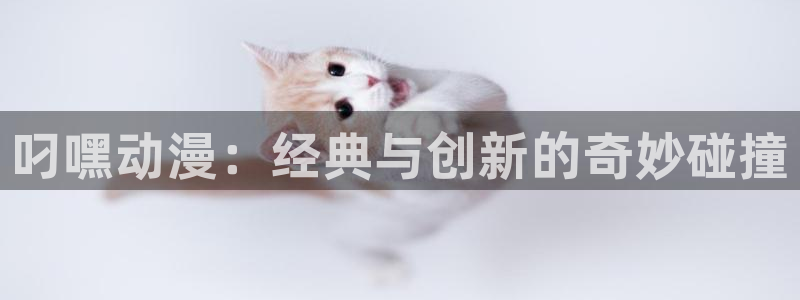 omofun.on：叼嘿动漫：经典与创新的奇妙碰撞